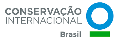 CI Brasil