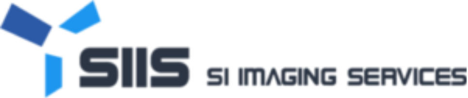 Logo SIIS
